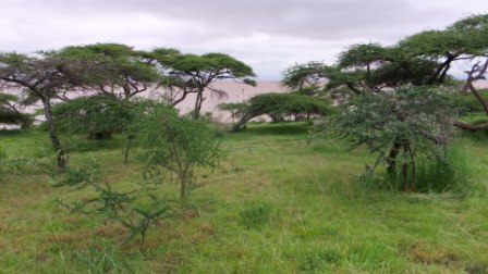 View of lake